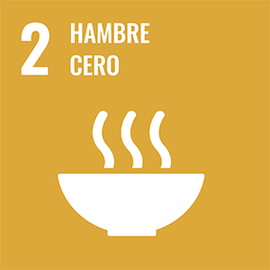 2 Hambre cero